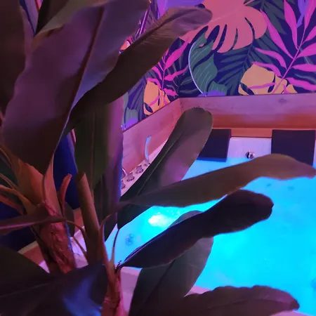 アパート Suite Maison Tropical - Luxury Apartment Con Jacuzzi - Bari Centro *