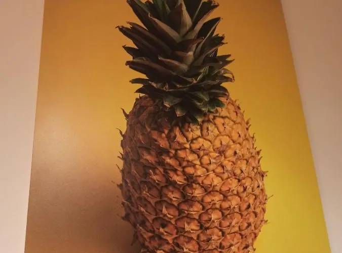 Maison Tropical - Luxury Con Jacuzzi - Centro Appartamento