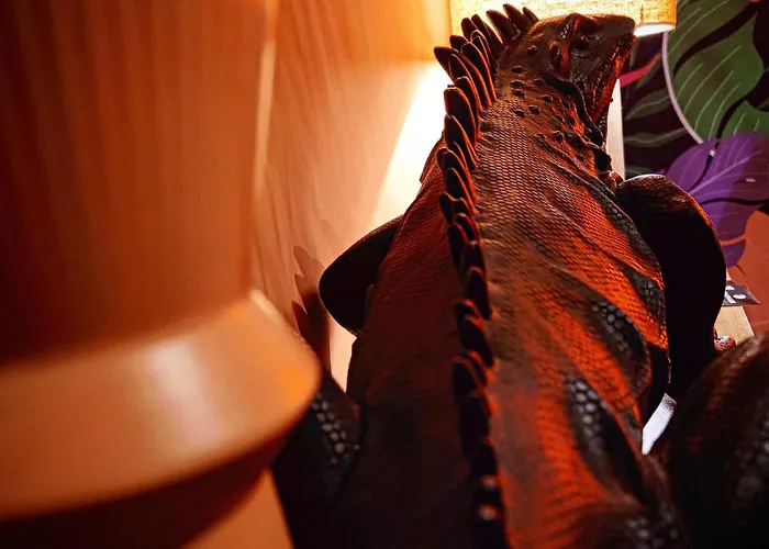 Maison Tropical - Luxury Con Jacuzzi - Centro Appartamento *