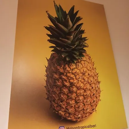 Suite Maison Tropical - Luxury Apartment Con Jacuzzi - Bari Centro Apartment