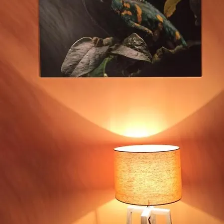 Apartment Suite Maison Tropical - Luxury Apartment Con Jacuzzi - Bari Centro *