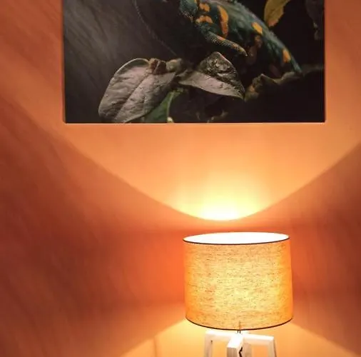 Apartament Maison Tropical - Luxury Con Jacuzzi - Centro *